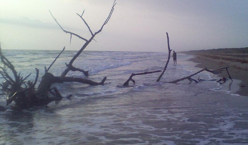 Beach fishing