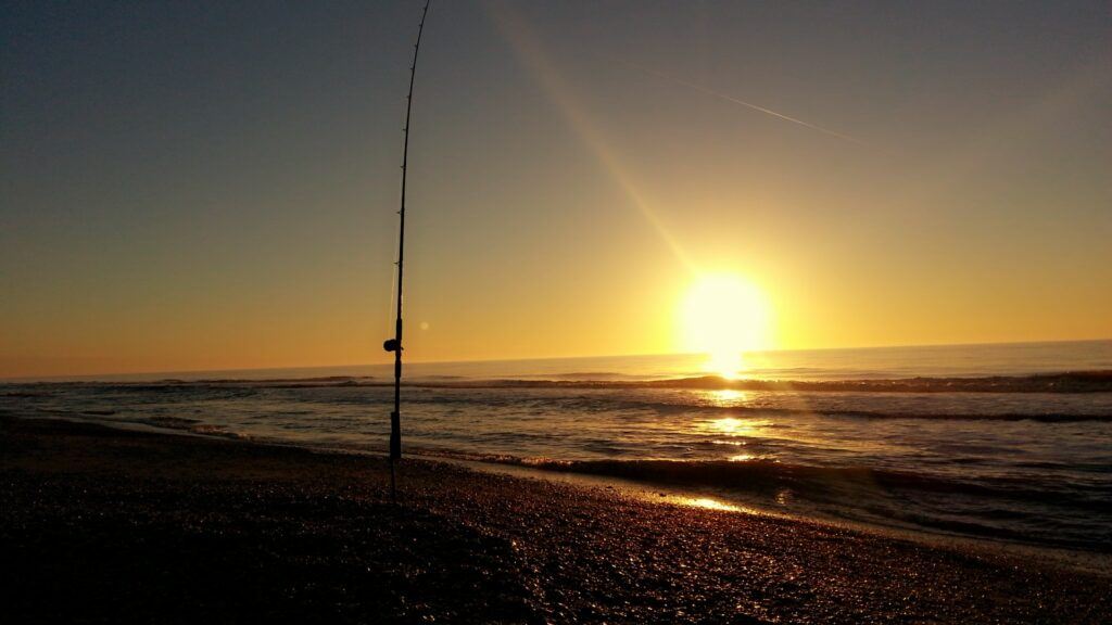 Intro to beach fishing