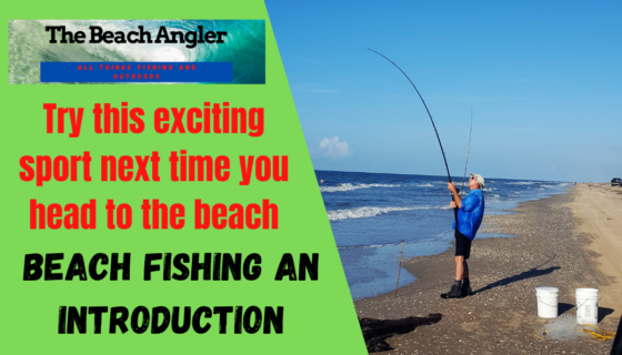 beach fishing introduction