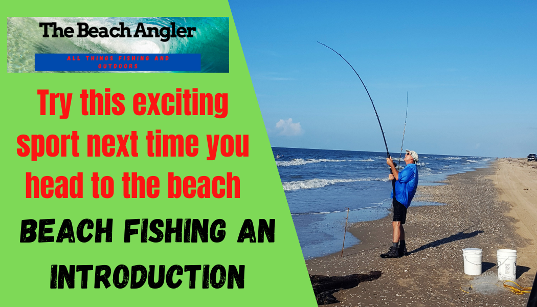 Beach Fishing, an introduction to this exciting Sport in 2021