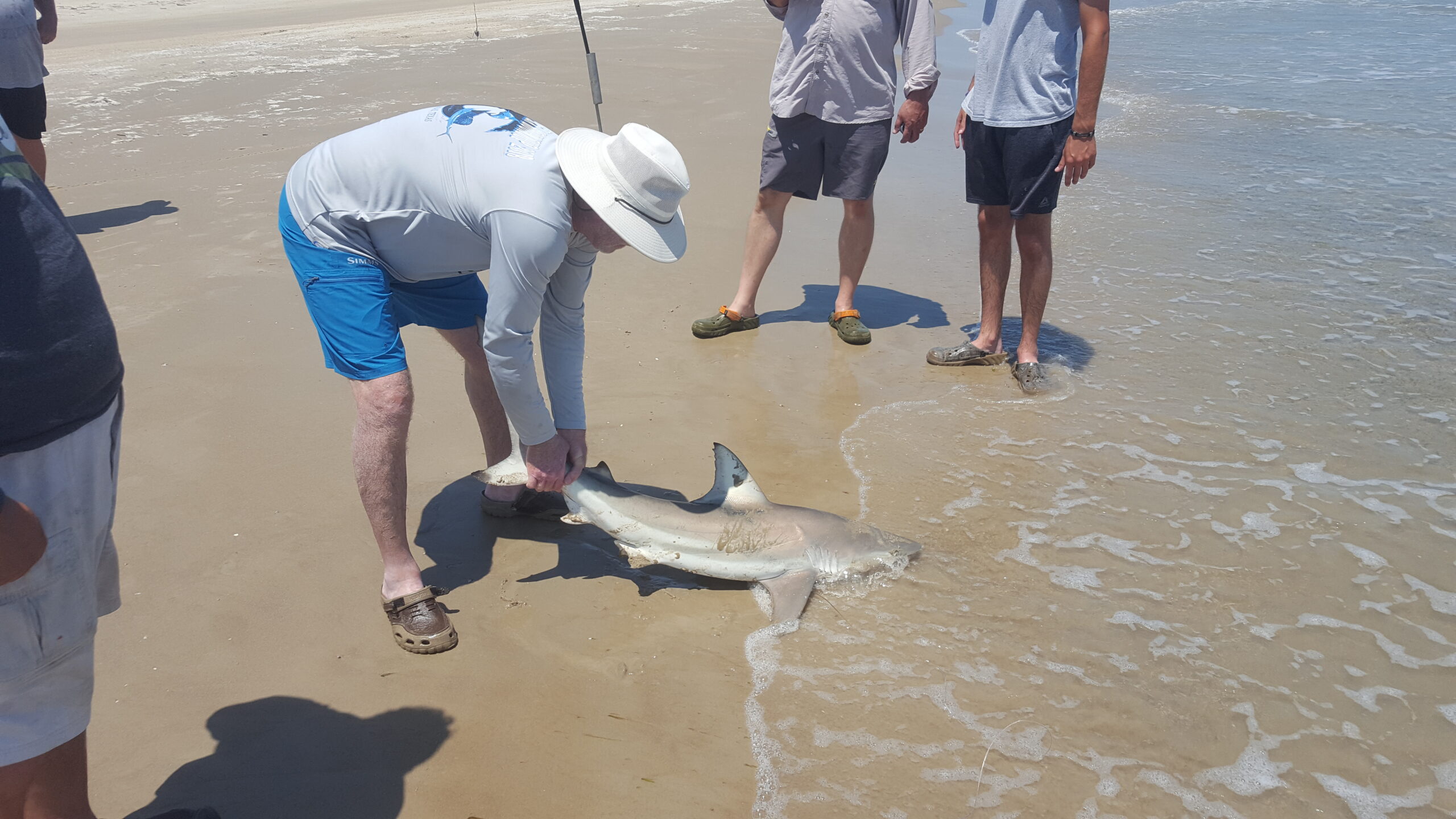 blacktip shark caught on the beach