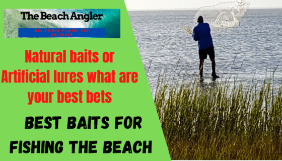 best baits for beach fishing