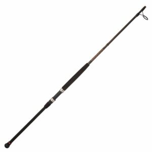 Penn Squadron II Surf Spinning rod