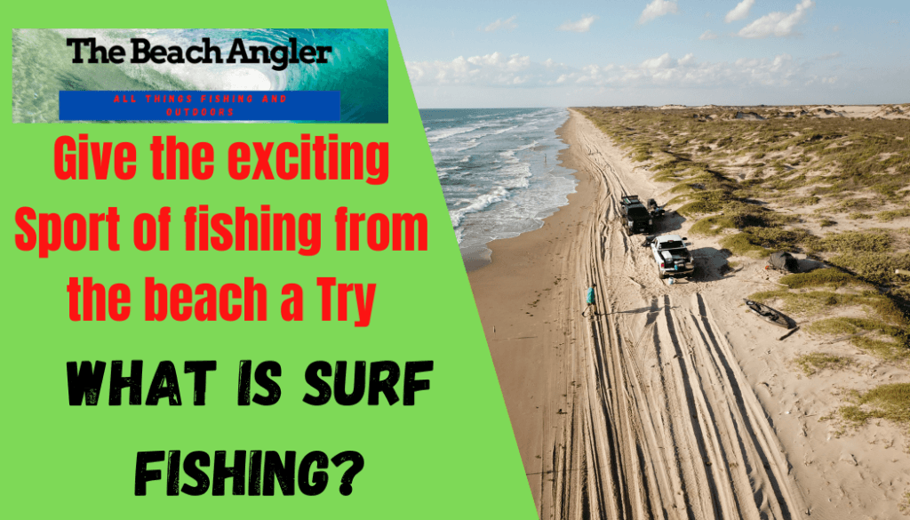 Surf Fishing FAQ - 15 Frequently Asked Questions