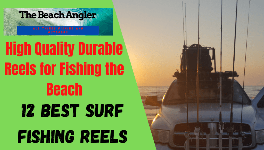 12 BEST SURF FISHING REELS