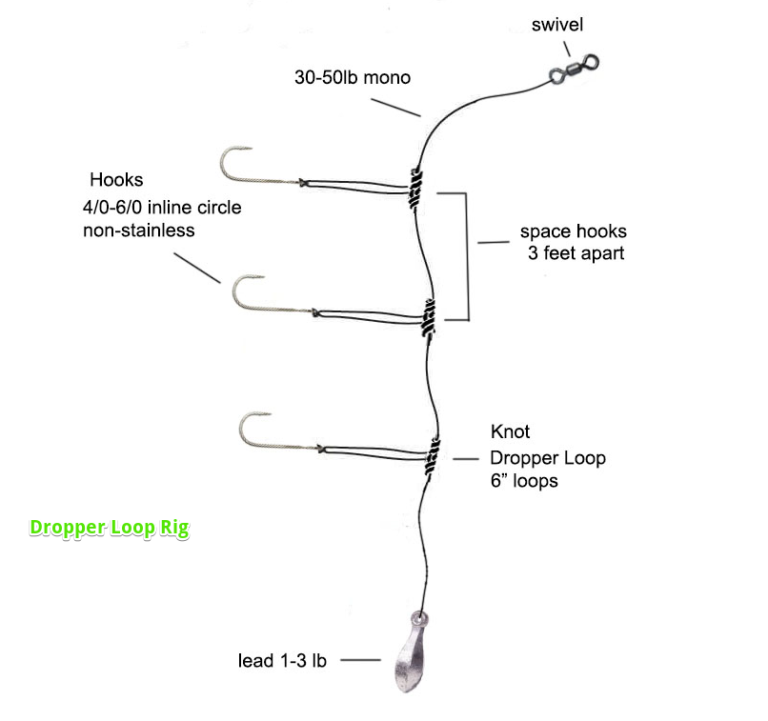 2 Best Surf Fishing Rigs