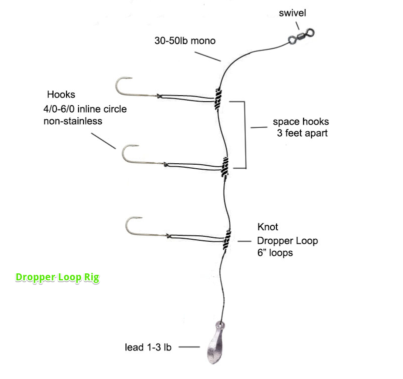 Dropper Loop Rig for surf fishing