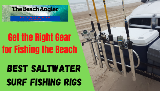 saltwater surf fishing rigs