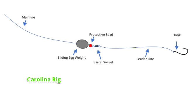 Carolina rig leader set up