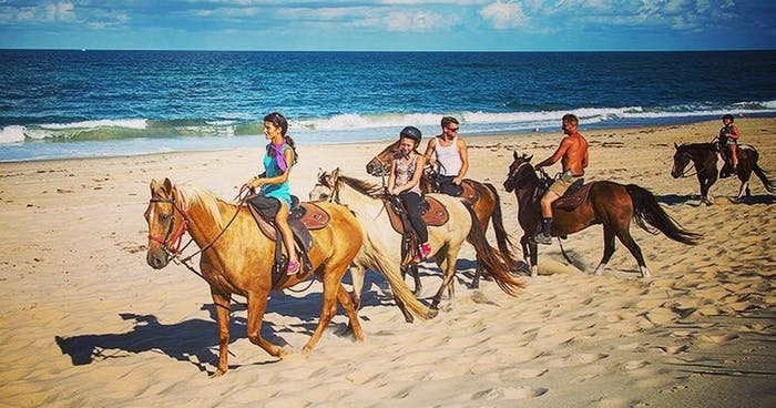 Horseback riders on the beach of the outerbanks of NC