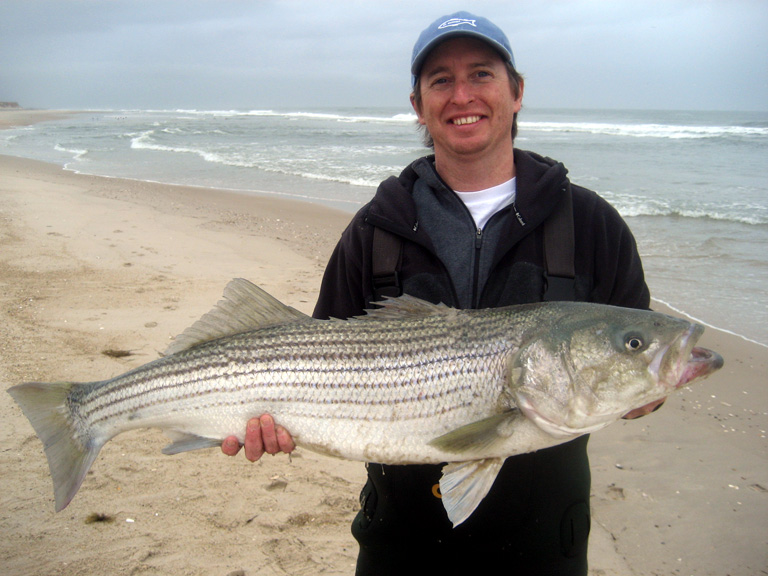 Big Striper caught surf fishing the outer banks of NC