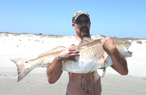 Bull redfish caught from the surf on the outerbanks of NC