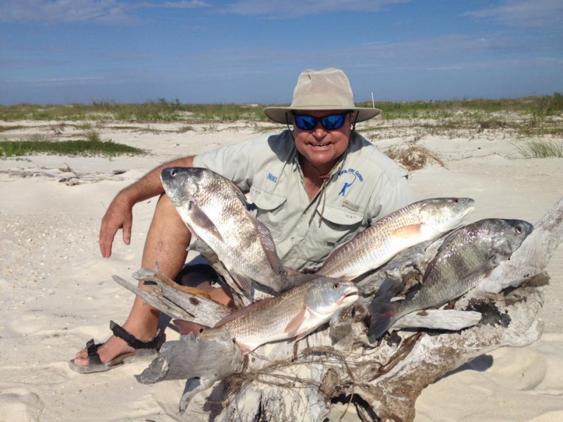 redfish and black drum caught on fishbites