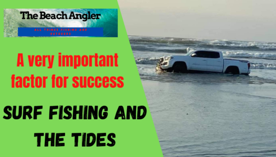 surf fishing and the tides