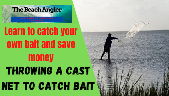 throwing a cast net to catch bait
