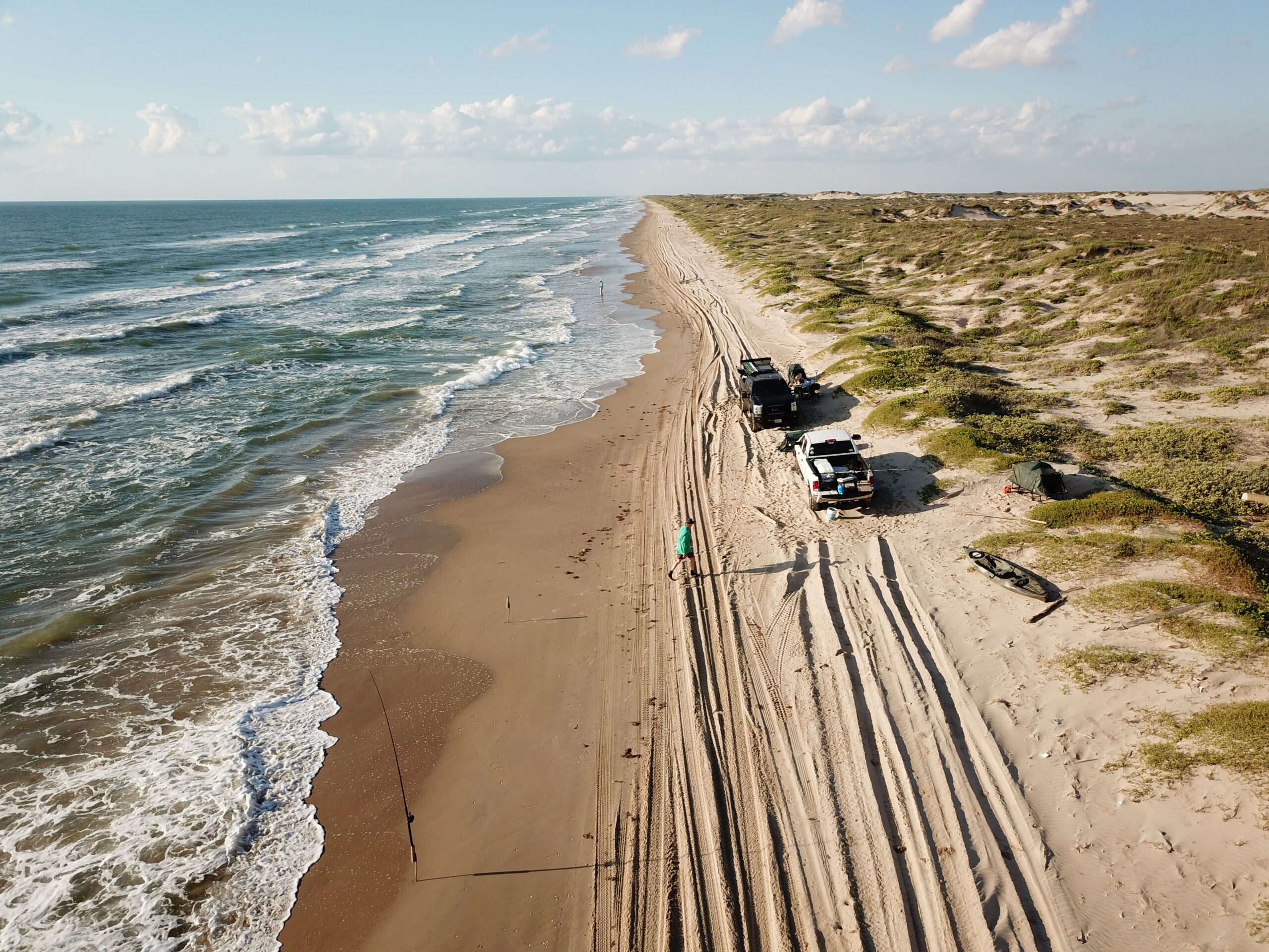 padre island national seashore