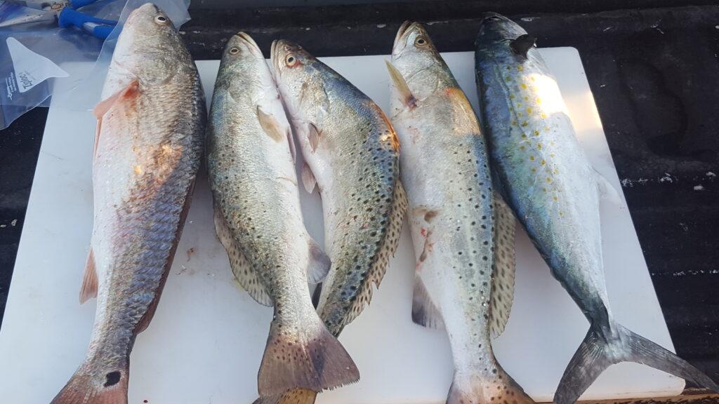 mixed bag