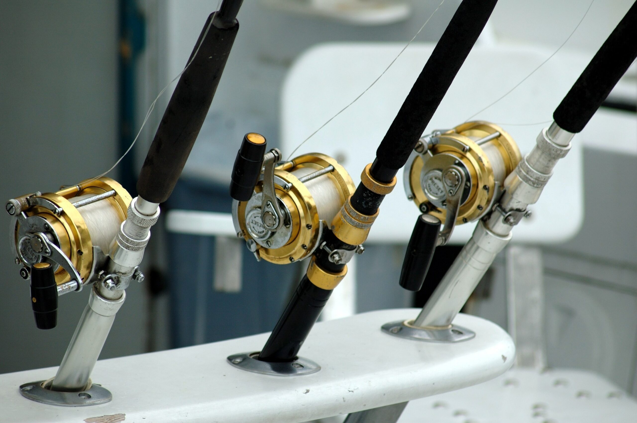 Penn Rods Review - Quality and Dependability Since 1932 - The Beach Angler