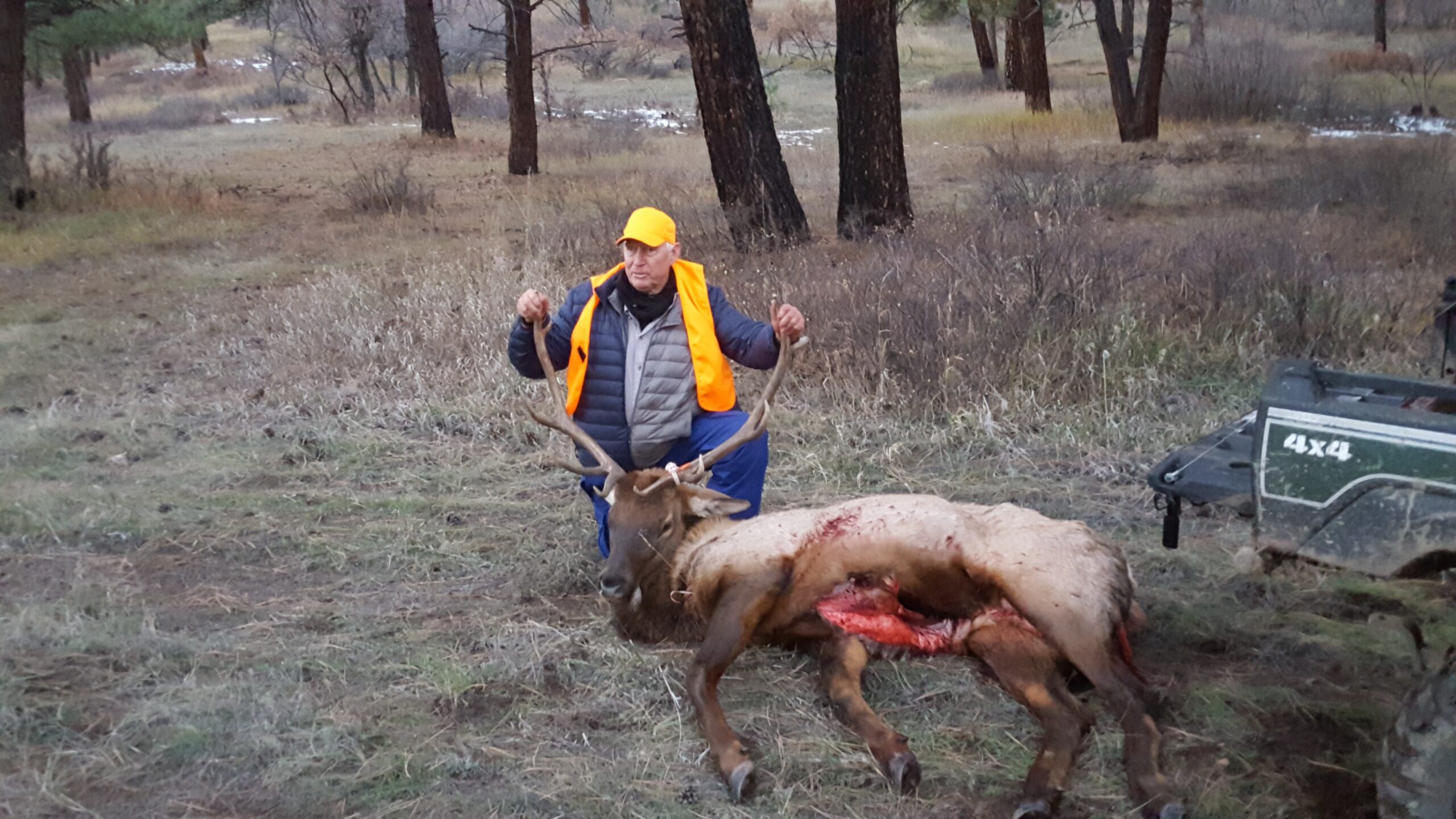 elk hunt - outfitting a Colorado elk hunt