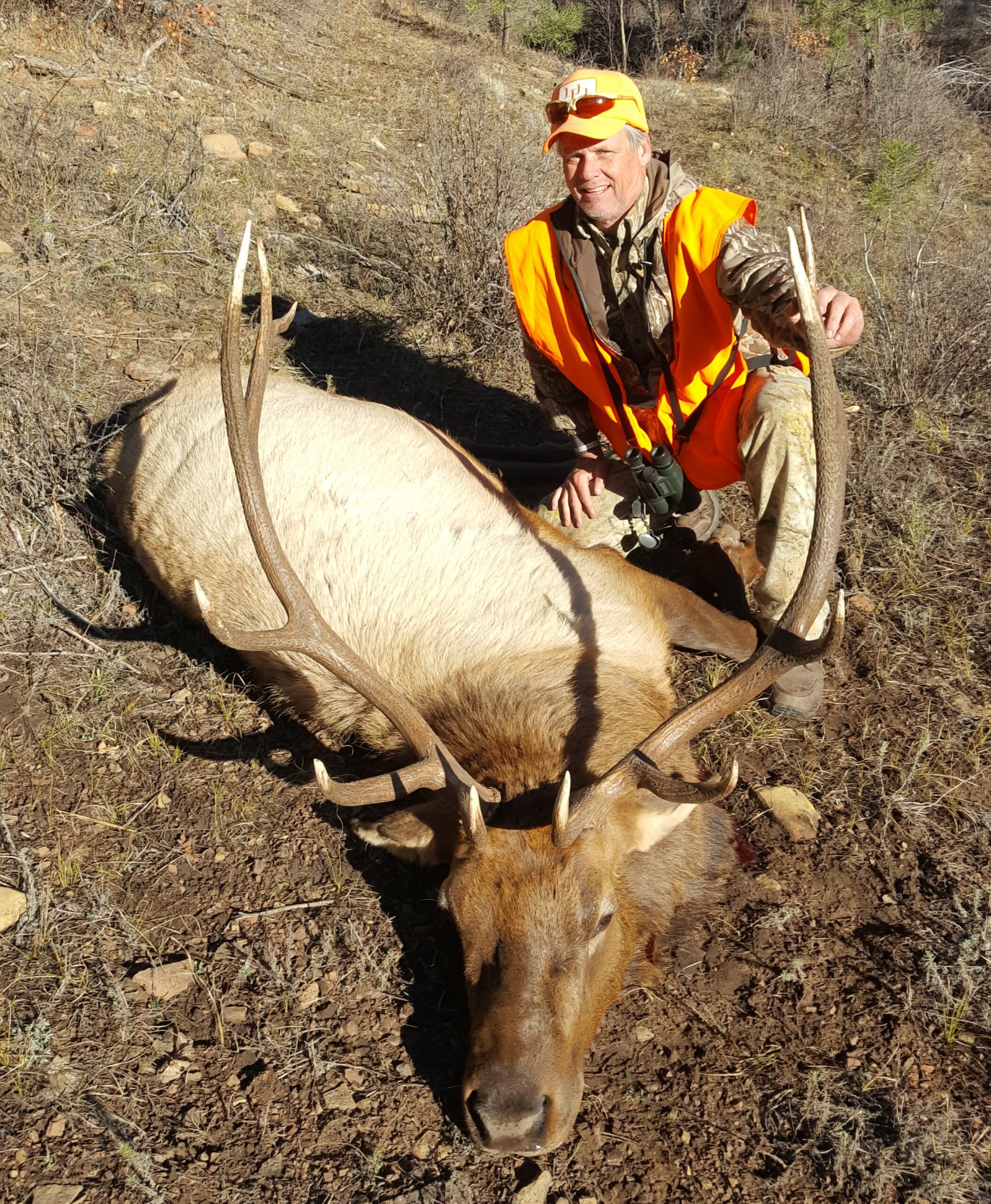 Author with nice bull elk - Outfitting a Colorado elk hunt