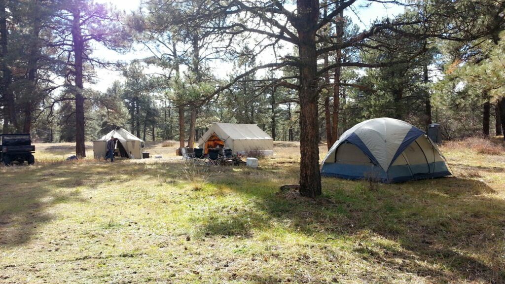 Elk Hunt in Colorado Outfitting an Awesome Adventure