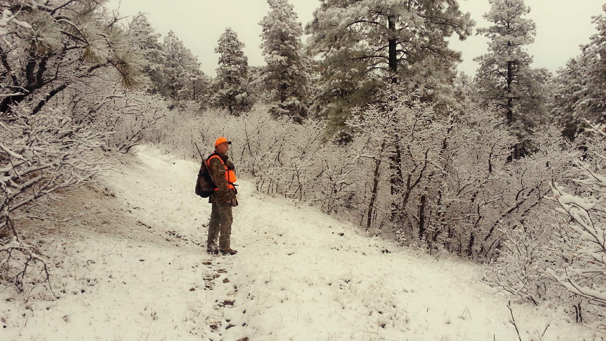 snowy trail - outfitting a colorado elk hunt