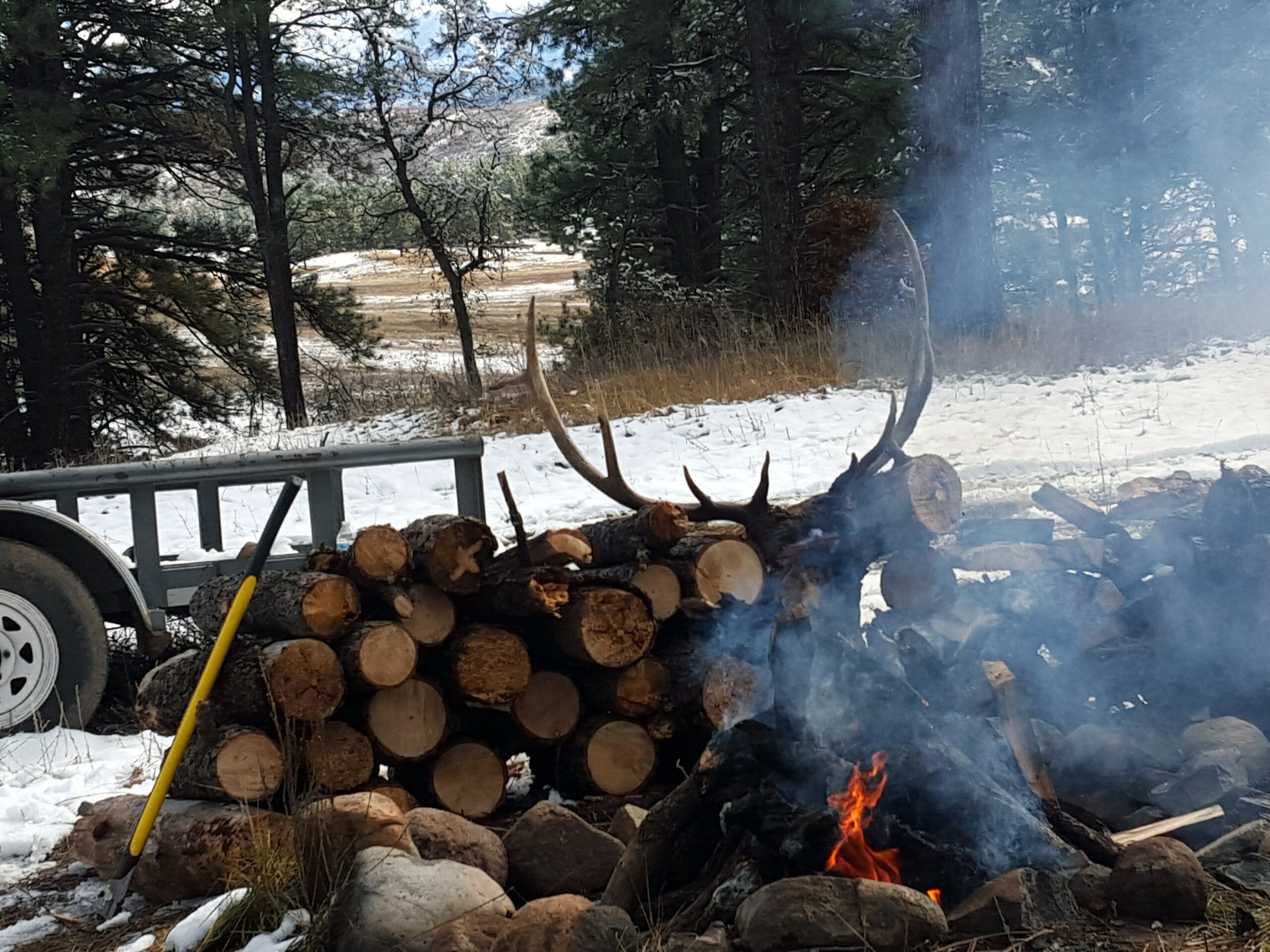 elk antlers campfire - outfitting a colorado elk hunt