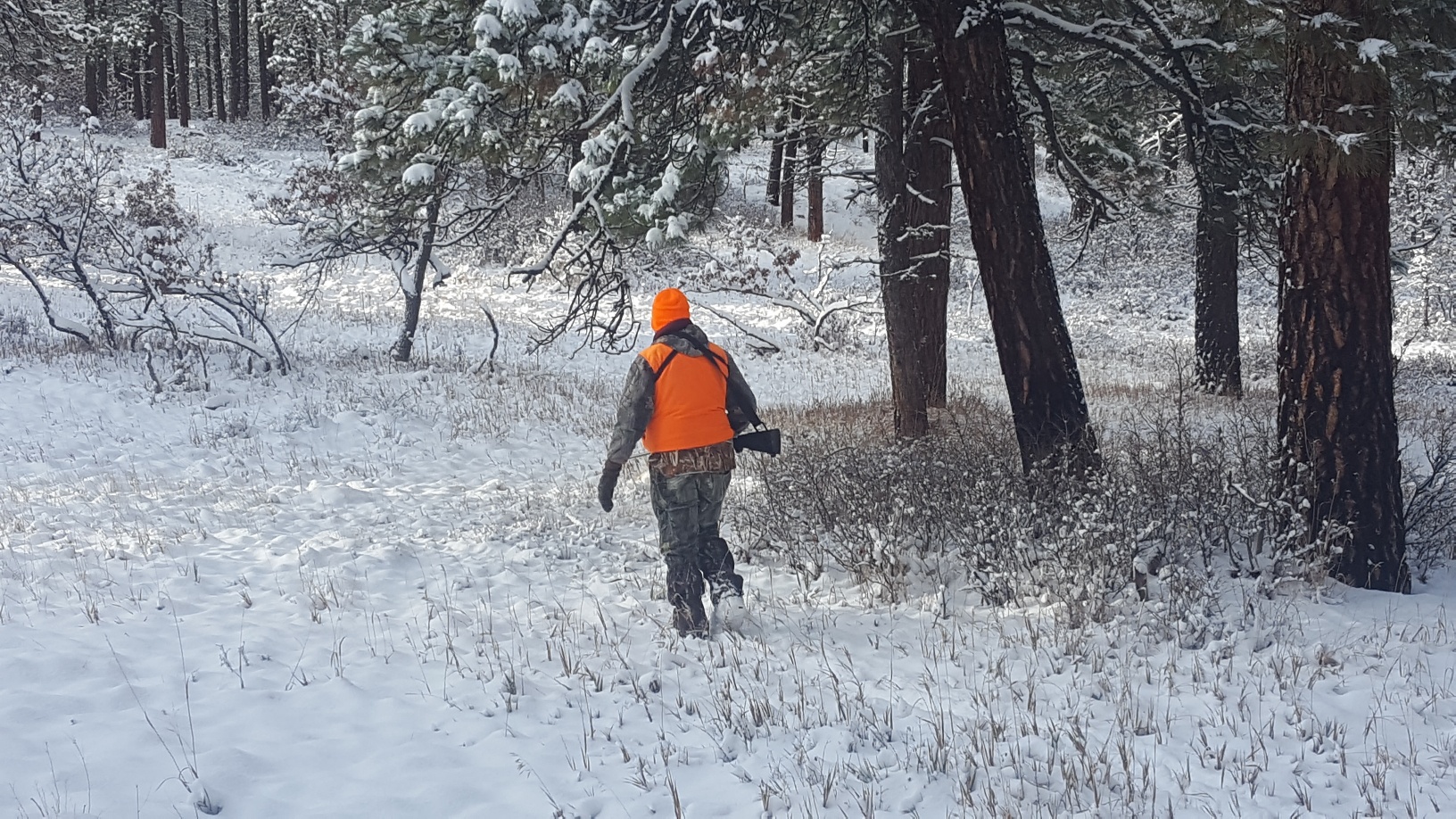 elk hunting in the snow