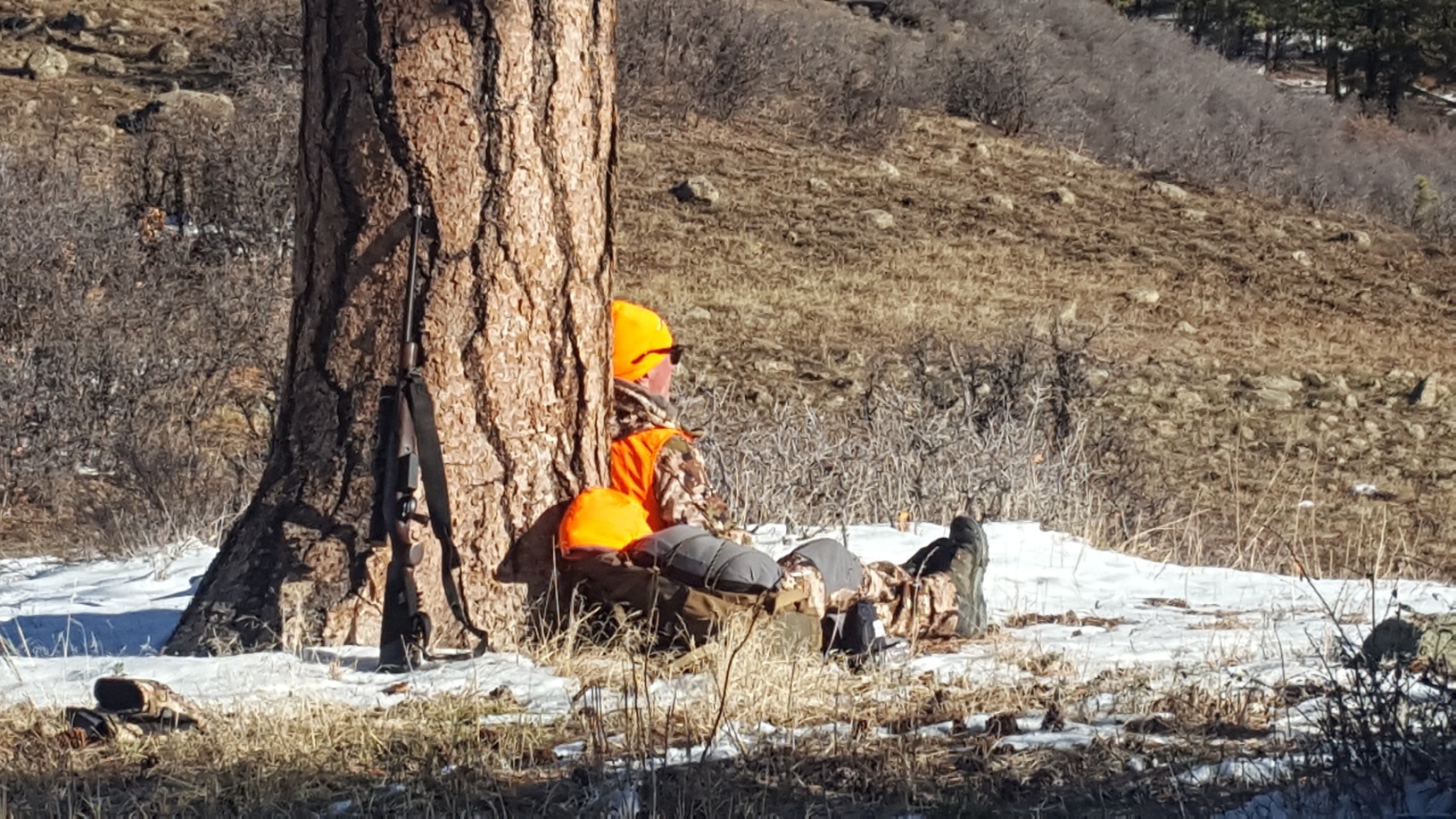 elk hunt SW Colorado