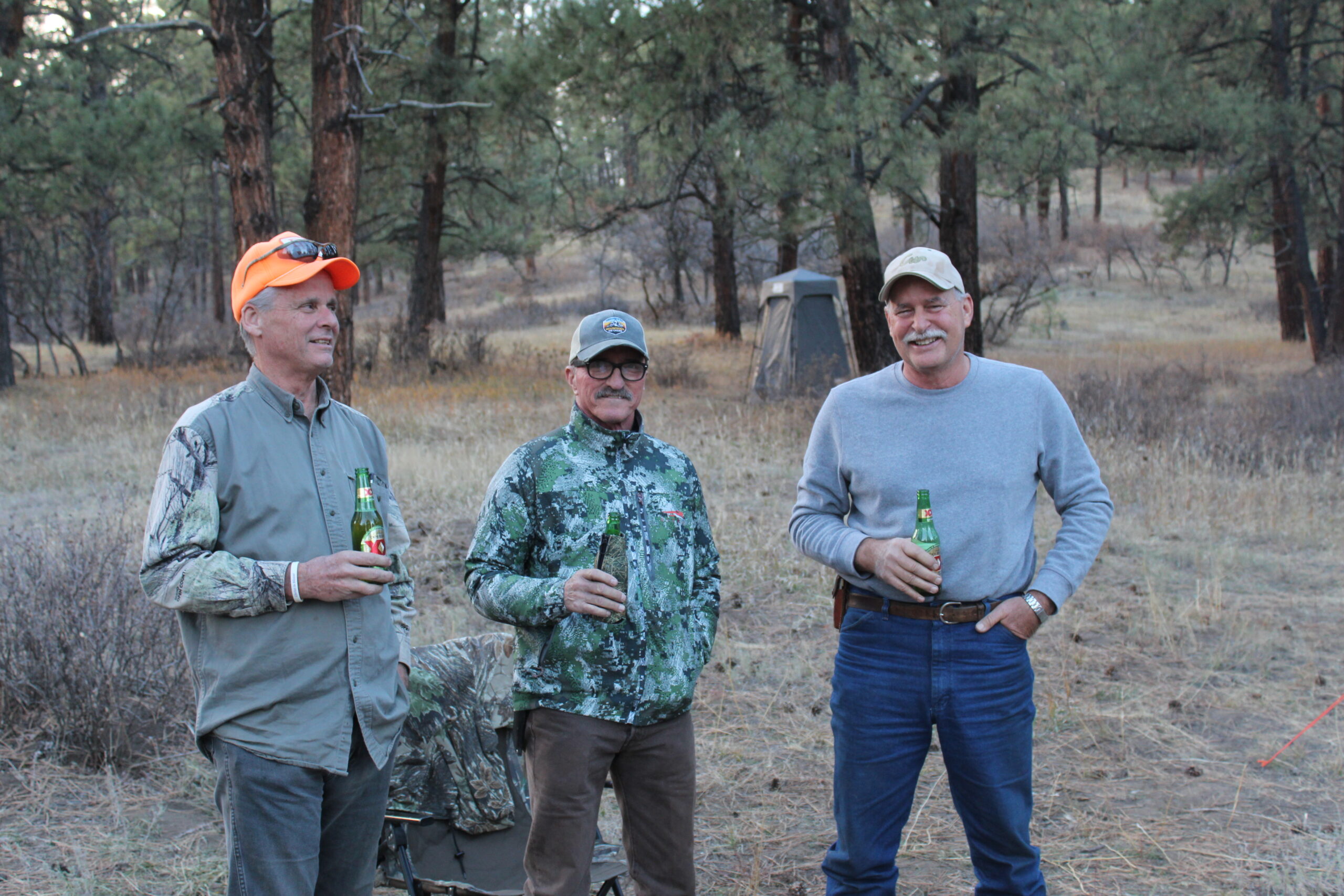 elk hunt - colorado