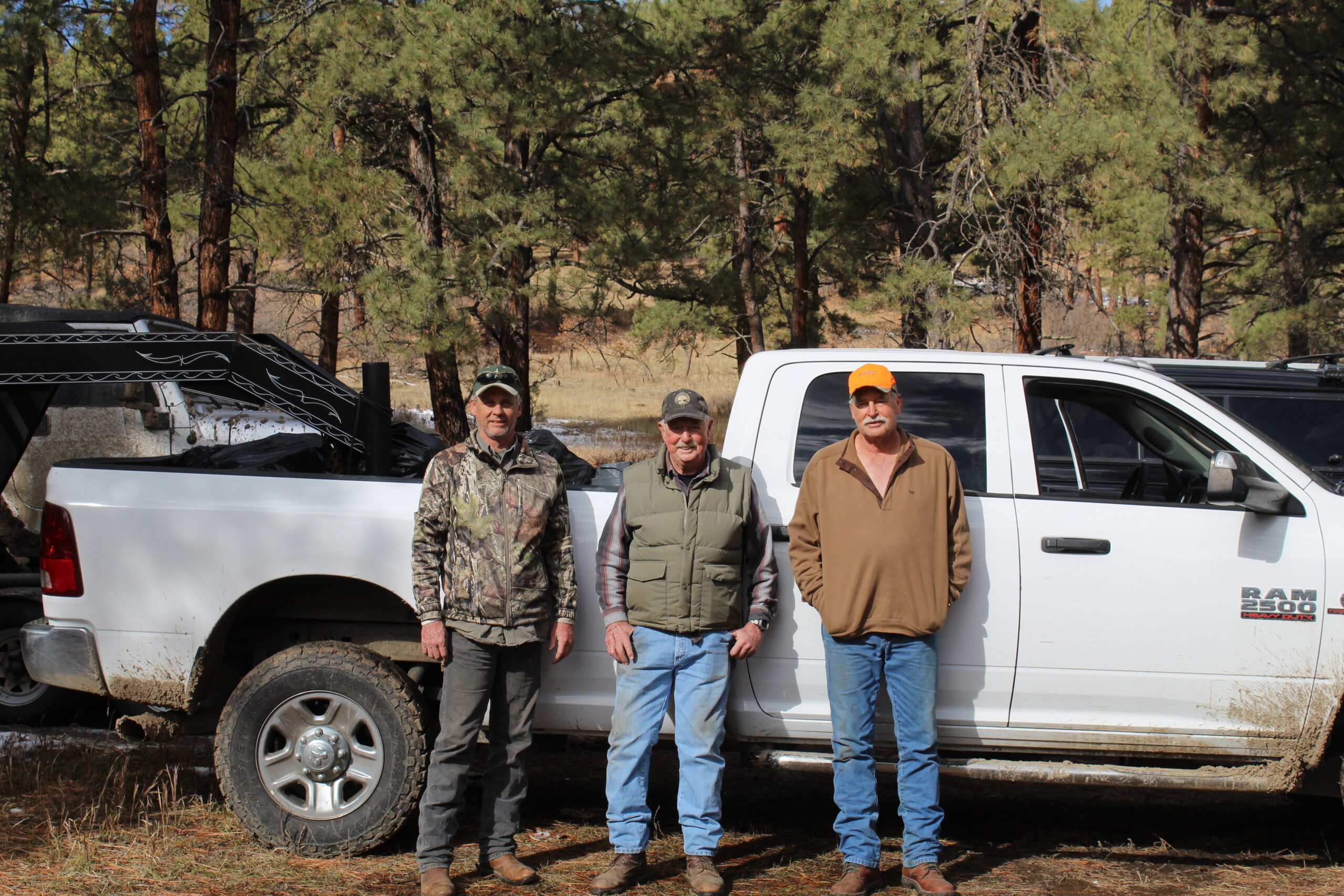 elk hunt colorado