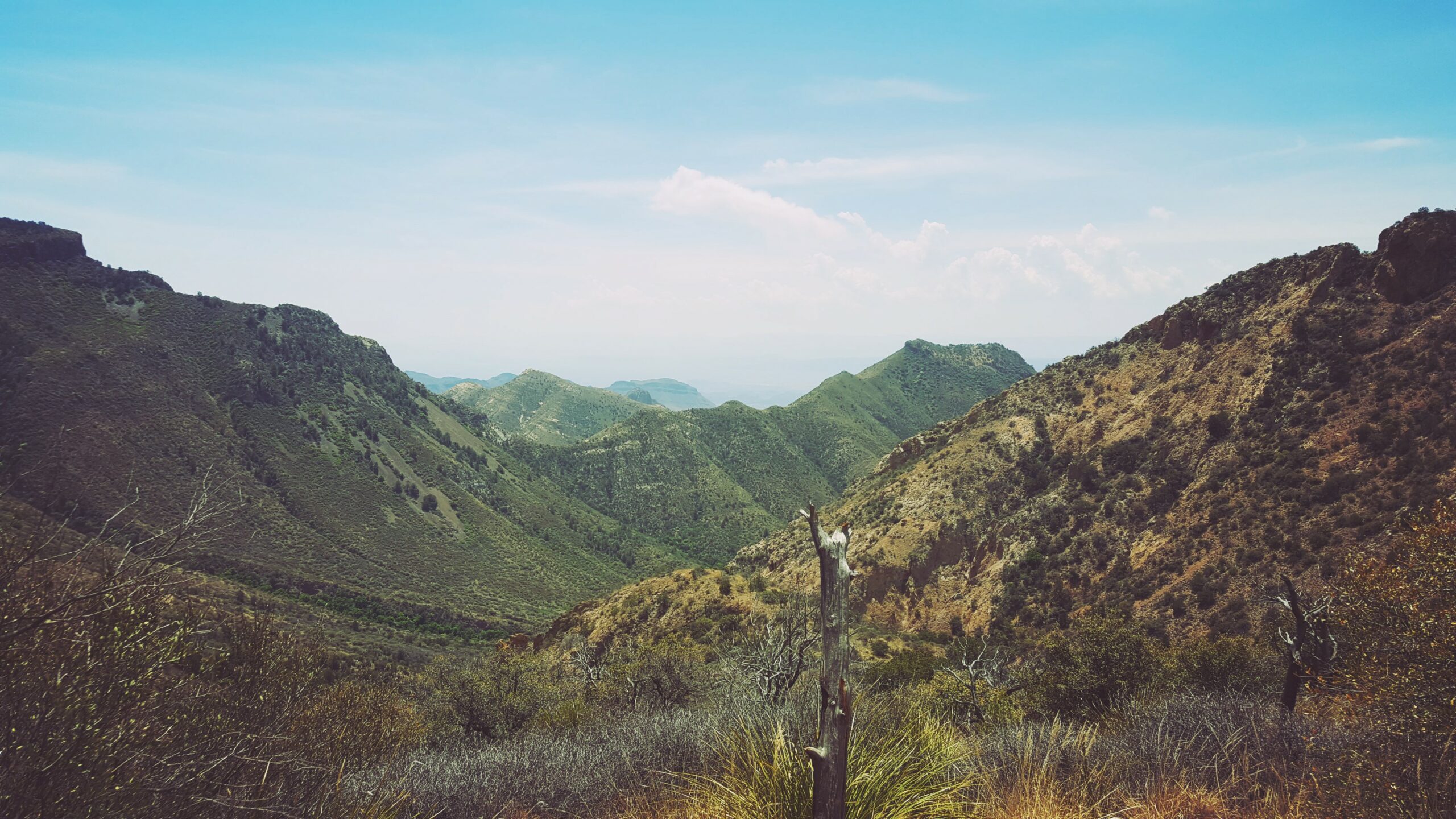 Big Bend National Park