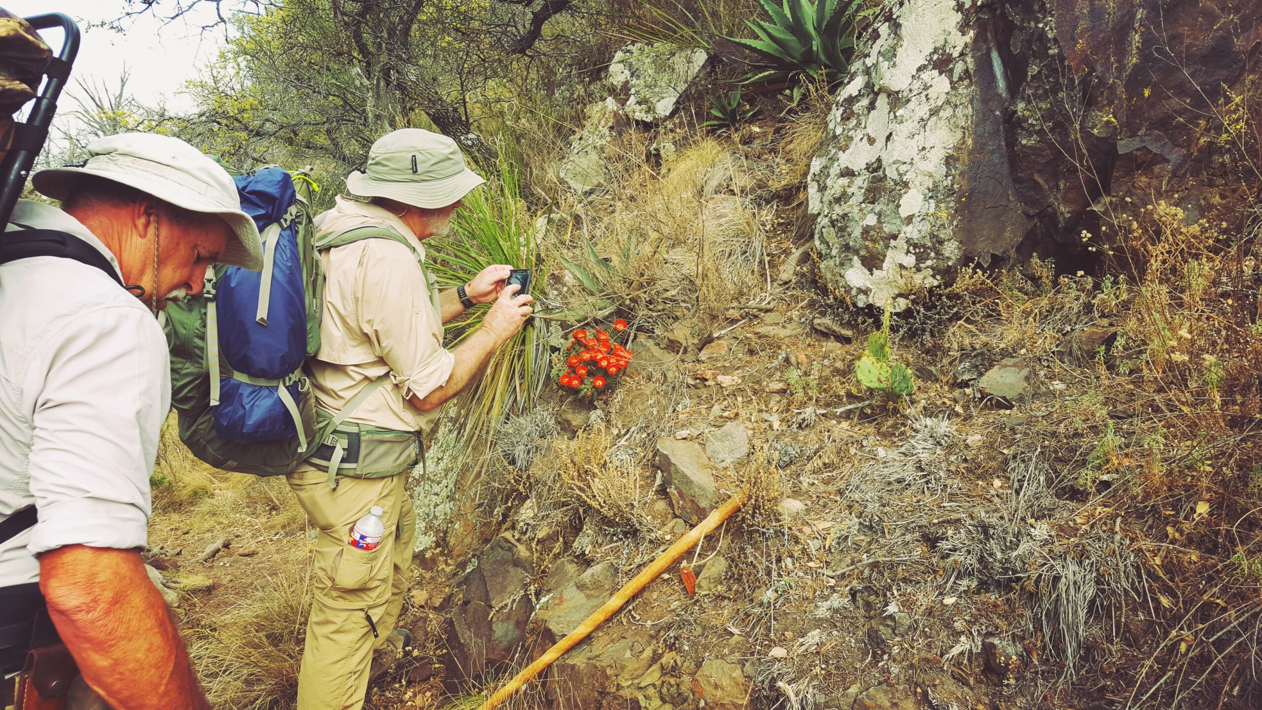 backpack camping Big Bend National Park