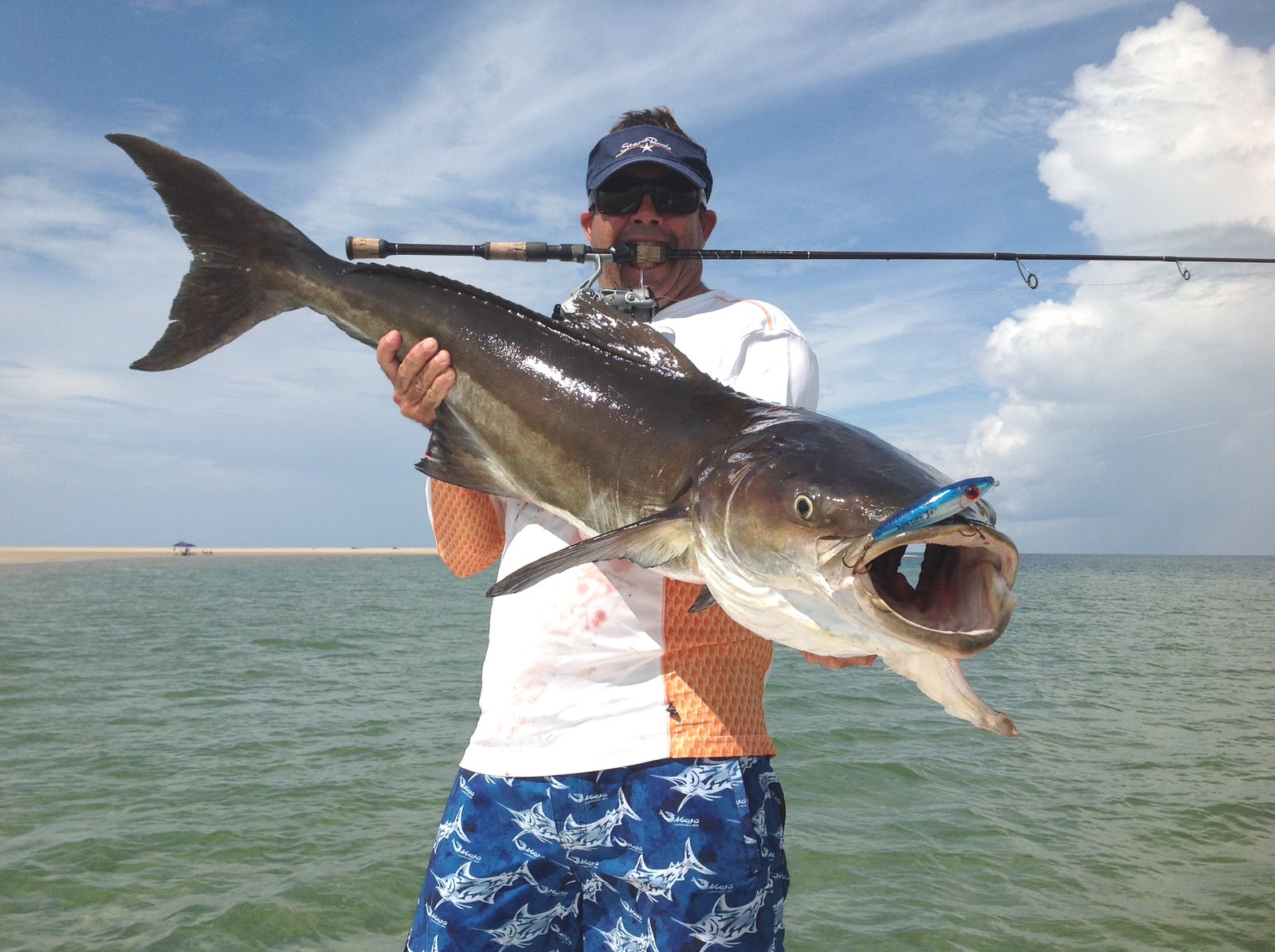 Cobia caught from the surf. Surf Fishing Quick Start Guide Review