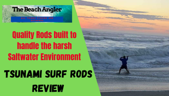 Tsunami Surf Rods - the beach angler