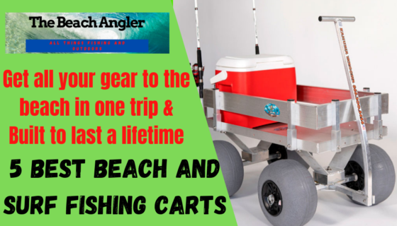 5 best beach and surf fishing carts