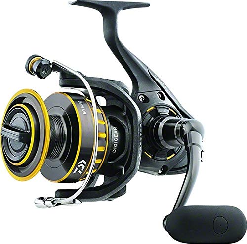 Daiwa BG saltwater spinning reel