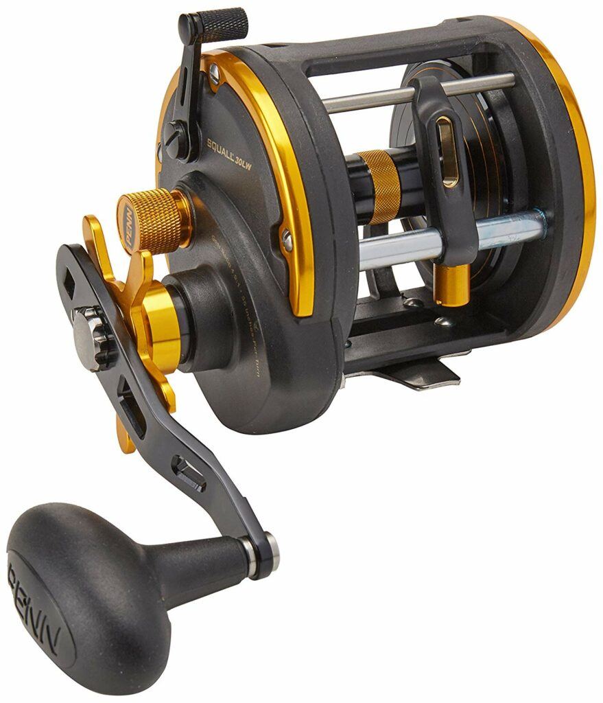 12 Best Surf Fishing Reels