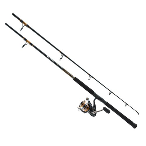 Daiwa BG saltwater surf rod and reel combo