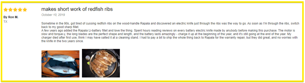 Rapala cordless electric fillet knife review