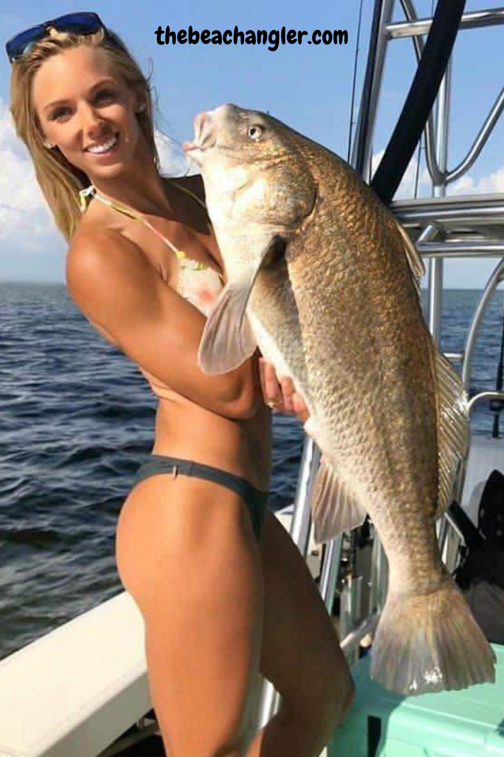Lady with a nice black drum caught off the beach front. 