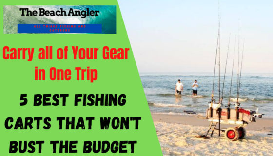 5 Best Beach and Surf Fishing Carts on a Budget - The Beach Angler