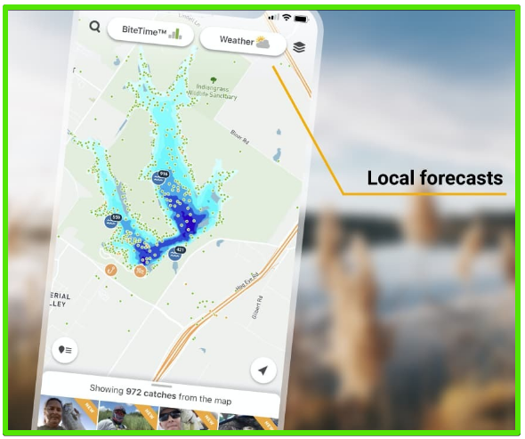 FishBrain Fishing Forecasts screen - FishBrain Fishing App Review