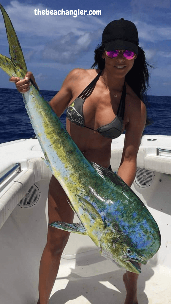Young Lady with a big bull Mahi Mahi caught while using a Daiwa Ballistic Spinning Reel. 7 best Daiwa Spinning Reels