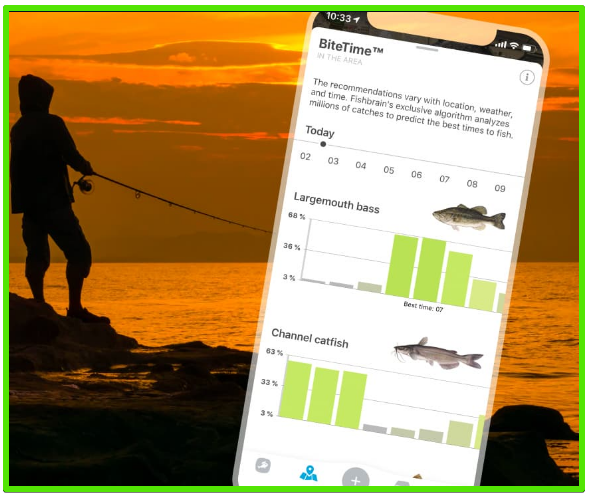 fish brain app review