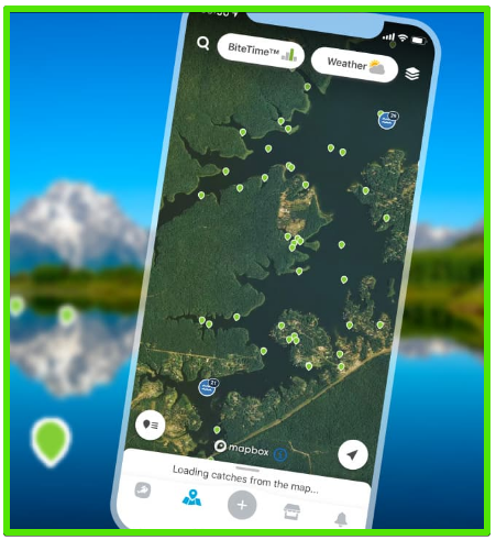 fishing brain app