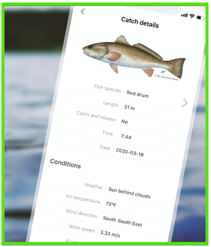 FishBrain log book Data screen - FishBrain Fishing App Review