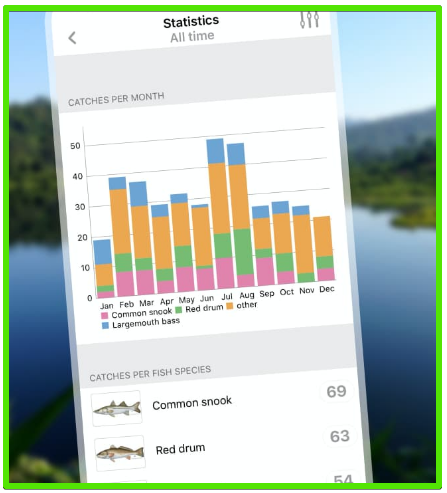 FishBrain log book statistics screen - Fish Brain Fishing App Review