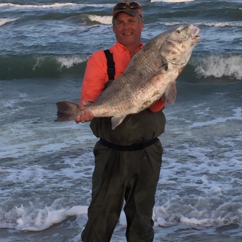 Big black drum caught from a windy and murky surf - surf fishing in windy conditions
