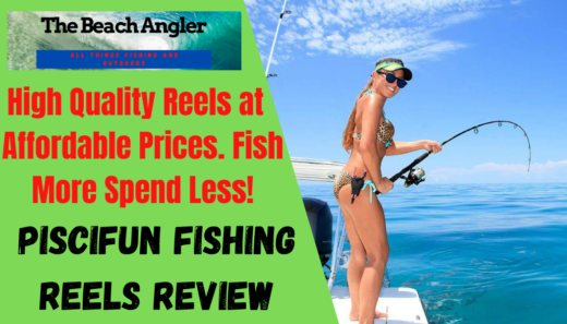 Piscifun Reels Great Quality Awesome Price - The Beach Angler
